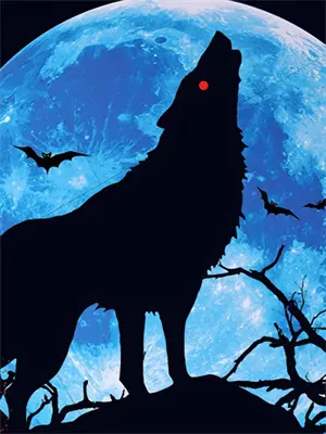 人与万物的作文800字