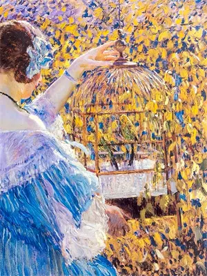 低维体验，潇洒人间