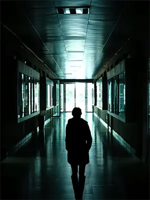 春风又绿江南岸明月